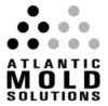 Mold Remediation And Testing Services